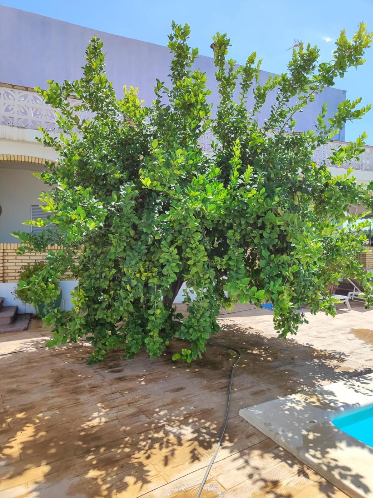 El Recreo, Private Pool & Bbq Villa Godelleta Exterior foto